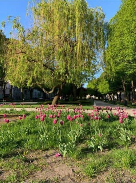Slupski Premium Apartment: Adults-only Luxury Slupsk